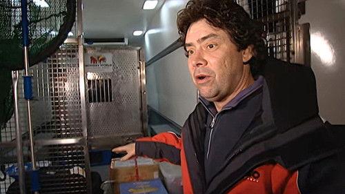 Monkey Business Season 7 Episode 14 - Episode 14