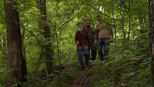 Background image for Hobo Jack