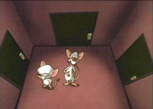 Pinky and the Brain Season 2 Episode 13 - The Maze