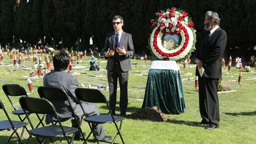 Nathan for You Season 2 Episode 3 - Pet Store / Maid Service