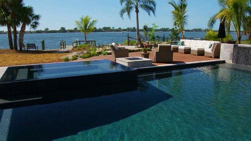 Background image for For The Birds