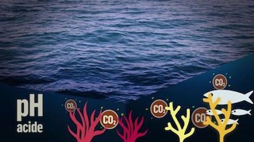 Mapping the World Season 28 Episode 10 - Sauver les océans