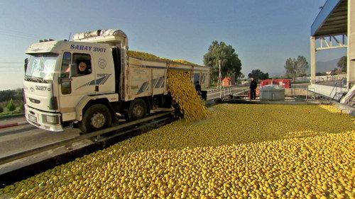 How Do They Do It? Season 13 Episode 2 - Longboards, Lemonade, Forklifts