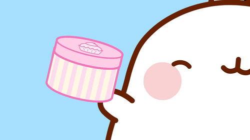 Molang Season 3 Episode 8 - The Box