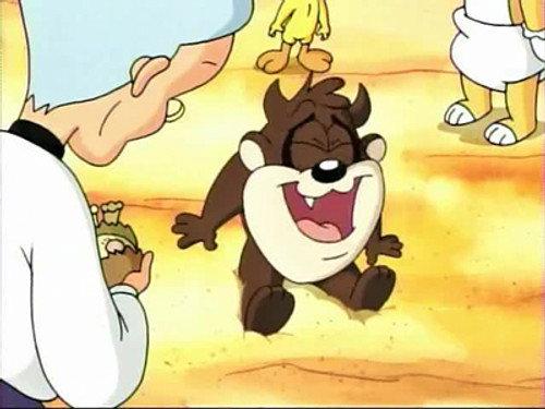 Baby Looney Tunes Season 1 Episode 36 - Taz You Like It