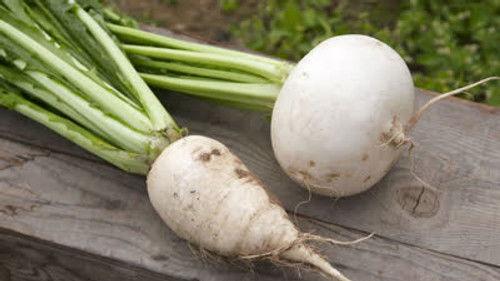 Trails to Tsukiji Season 5 Episode 2 - Turnip