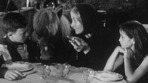 Poly Season 3 Episode 2 - Episode 2