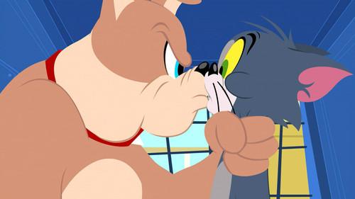 The Tom and Jerry Show Season 1 Episode 37 - Cruisin' for a Bruisin