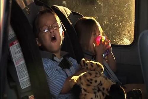 Jon & Kate Plus 8 Season 2 Episode 10 - A Day at the Zoo