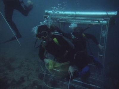 Riptide Season 2 Episode 21 - Arrivederci, Baby