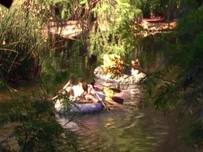 Background image for Survi-Val