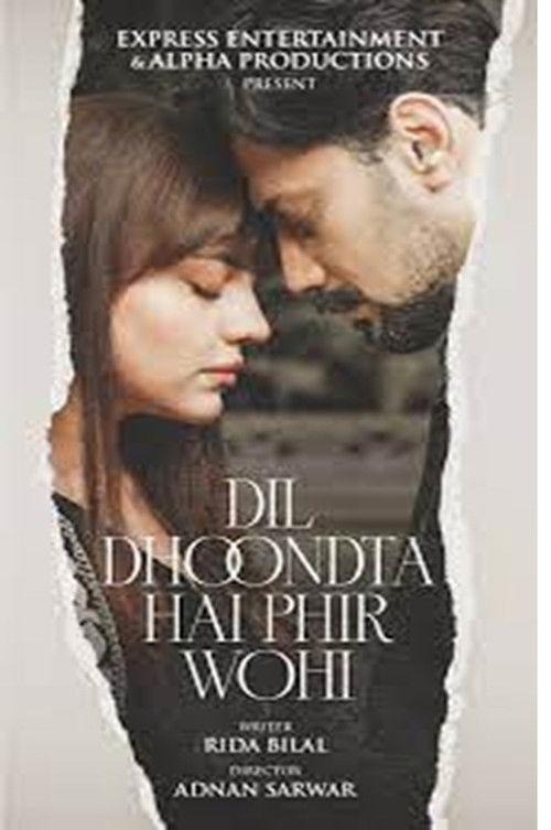 Dil Dhoondta Hai Phir Wohi poster
