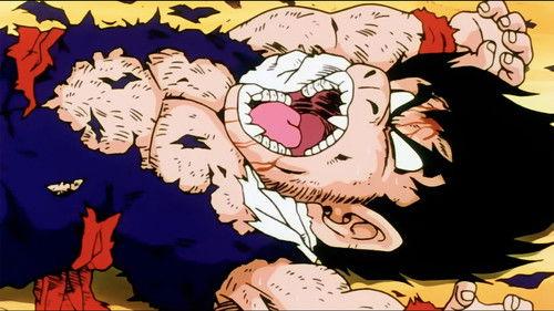 Dragon Ball Z Season 1 Episode 35 - Mercy