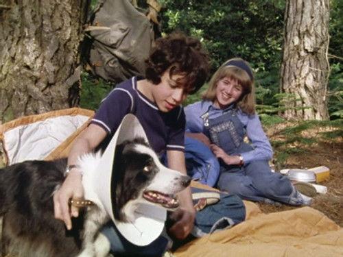 The Famous Five Season 1 Episode 11 - Five on a Secret Trail