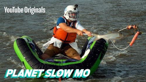 Planet Slow Mo Season 1 Episode 6 - Catching a Mid-Air Fish