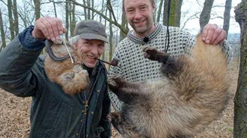 Kill & Eat Season 6 Episode 3 - Et vildsvin i Polen