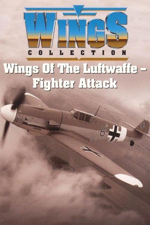 Wings of the Luftwaffe poster