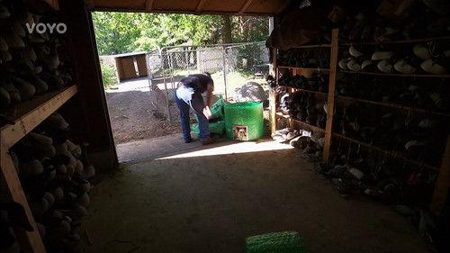 Shipping Wars Season 7 Episode 1 - Goose Bumps in the Road