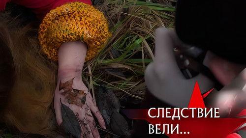 The investigation was conducted Season 20 Episode 33 - Episode 33