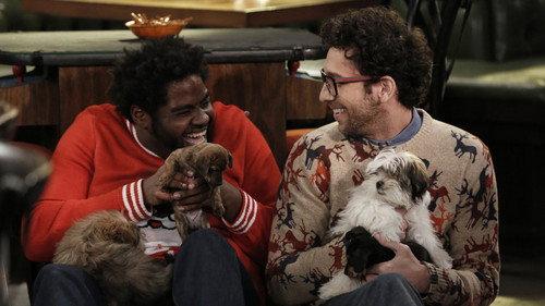 Undateable Season 3 Episode 9 - A Box of Puppies Walks Into a Bar