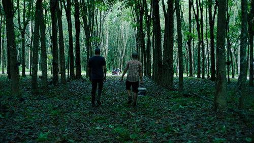 This Giant Beast That is the Global Economy Season 1 Episode 3 - The Rubber Episode