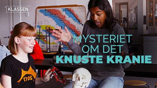 Klassen Season 5 Episode 23 - The mystery of the broken skull