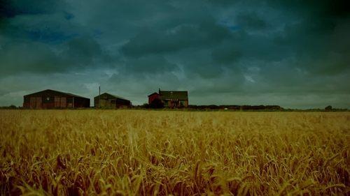 undefined Season 1 Episode 3 - Episode 3