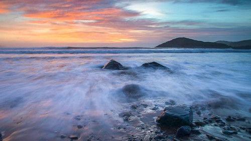 Springwatch Season 19 Episode 12 - Episode 12