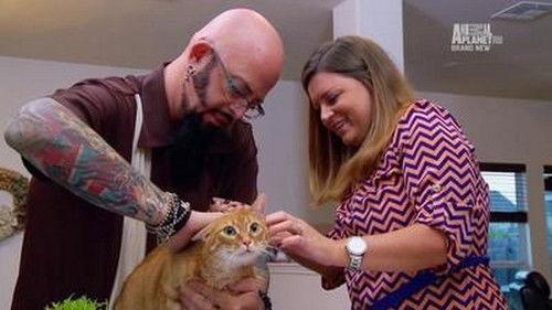 My Cat from Hell Season 5 Episode 6 - Puma on the Rampage