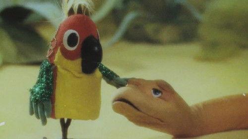 38 Parrots Season 1 Episode 10 - In-Visual Aid