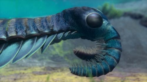 Background image for Chapter 2: The First Frontier