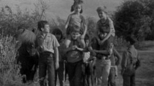 Poly Season 5 Episode 7 - Episode 7