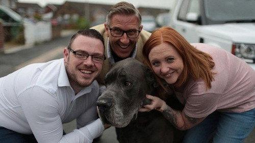 Dogs Behaving (Very) Badly Season 2 Episode 1 - Episode 1