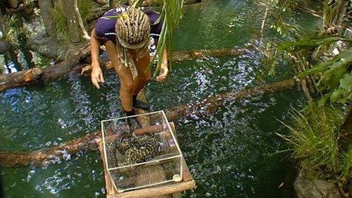 I'm a Celebrity...Get Me Out of Here! Season 3 Episode 15 - Snake Lake