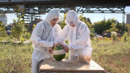 Cochon dingue Season 1 Episode 10 - Episode 10