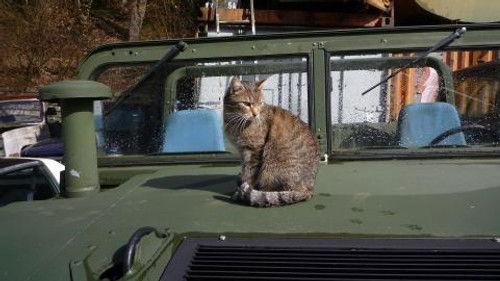 Steel Buddies – Stahlharte Geschäfte Season 3 Episode 4 - Episode 4