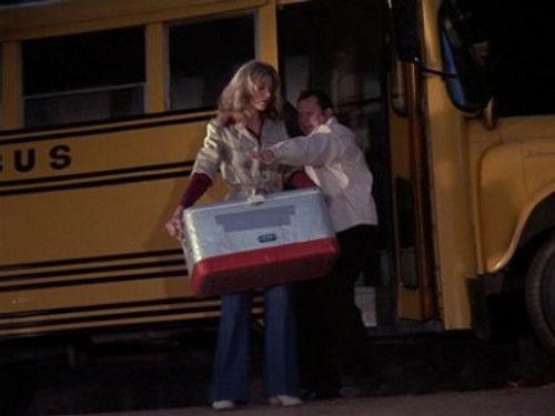 The Bionic Woman Season 1 Episode 4 - A Thing of the Past