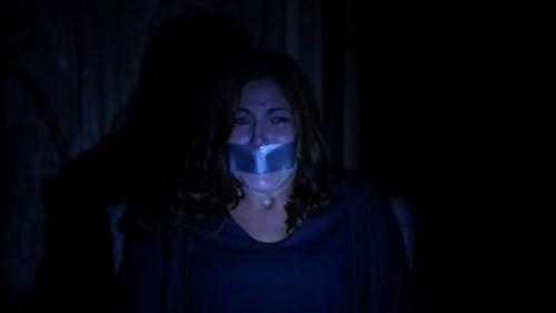 Criminal Minds Season 9 Episode 10 - The Caller