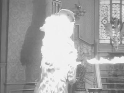 Background image for The Addams Policy