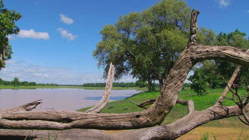 Africa River Wild Season 1 Episode 1 - Luangwa River