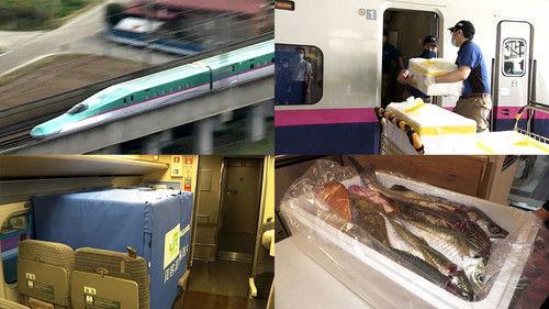 Japan Railway Journal Season 7 Episode 9 - Shinkansen Freight: Carrying On Post Pandemic