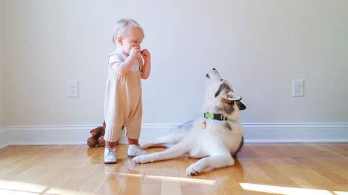 World's Funniest Animals Season 1 Episode 2 - Episode 102