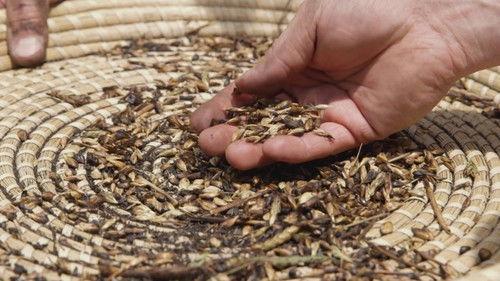 The Mind of a Chef Season 2 Episode 2 - Seeds