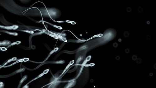 This Is Life with Lisa Ling Season 1 Episode 3 - The Genius Experiment