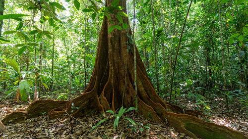 ZDFinfo – die Einzeldokus Season 2025 Episode 8 - Episode 8