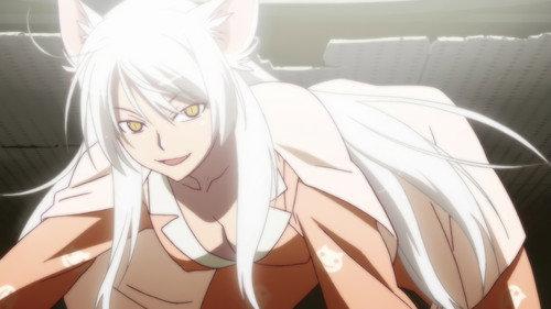 undefined Season 0 Episode 2 - Tsubasa Cat (3)
