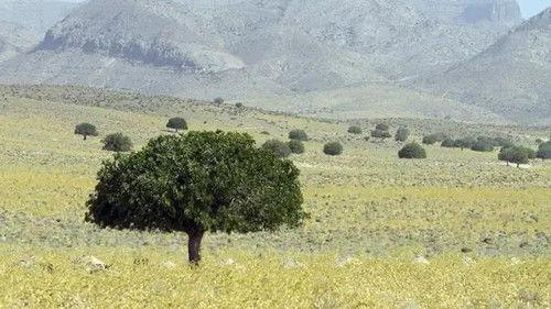 Wild Iran Season 1 Episode 2 - Into the Green North