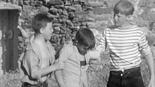 Poly Season 3 Episode 12 - Episode 12