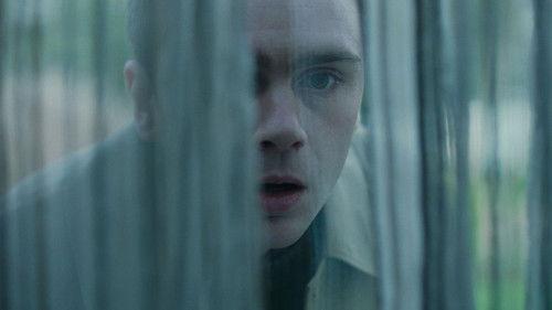 Curfew Season 1 Episode 5 - Total Harmony