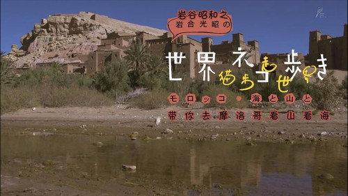 Mitsuaki Iwago's World “Cats” Travelogue Season 1 Episode 11 - Morocco, Sea and Mountains